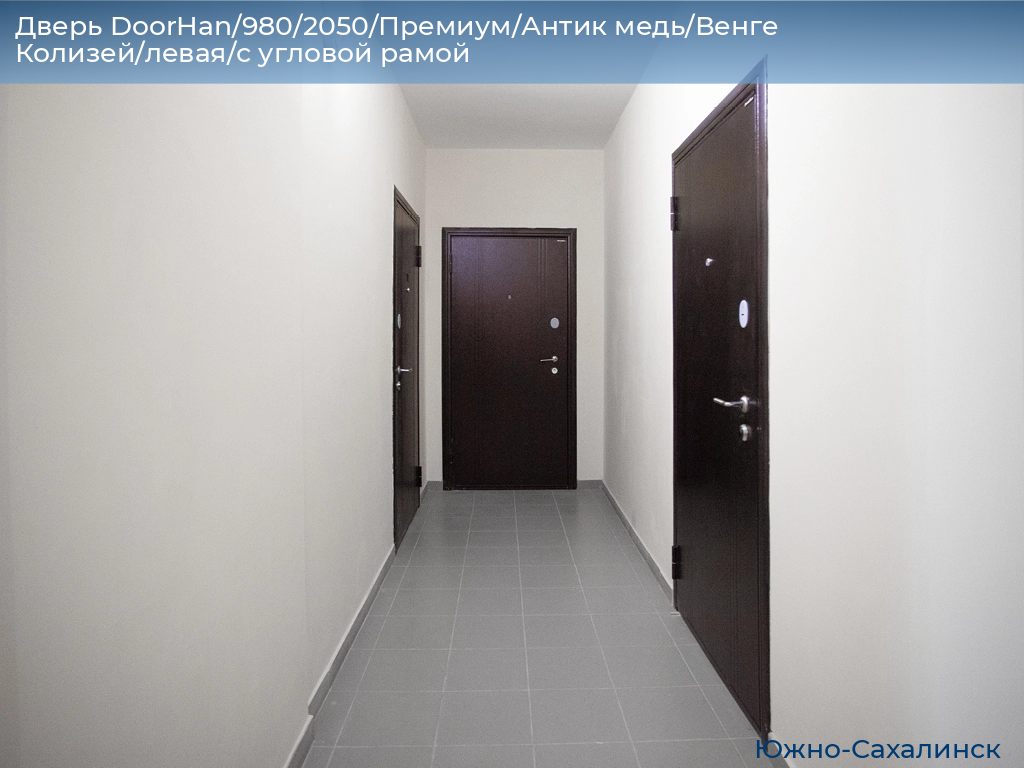Дверь DoorHan/980/2050/Премиум/Антик медь/Венге Колизей/левая/с угловой рамой, yuzhno-sahalinsk.doorhan.ru